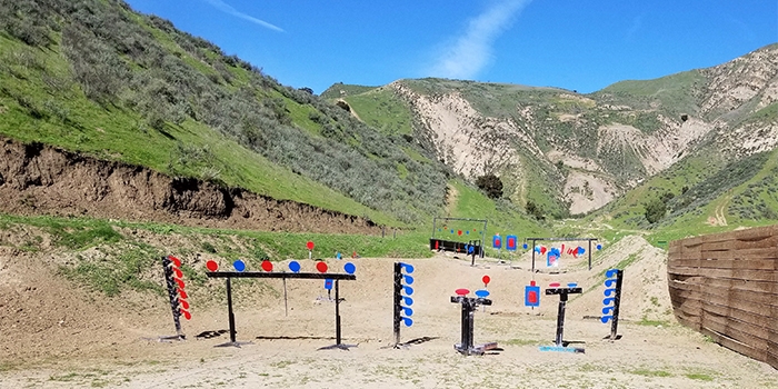 Public Range (12 Pack) - Image 2