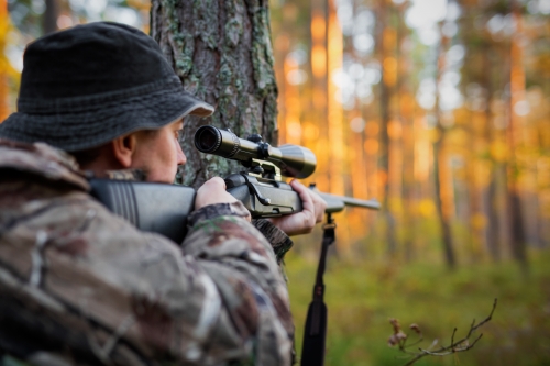 Hunter Rifle course los angeles