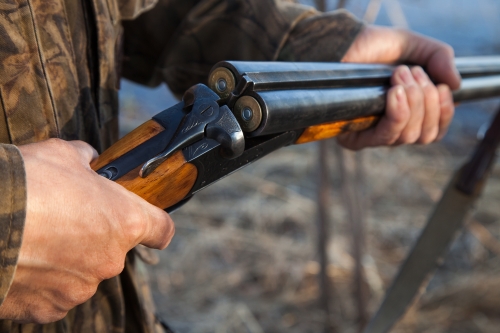 shotgun training